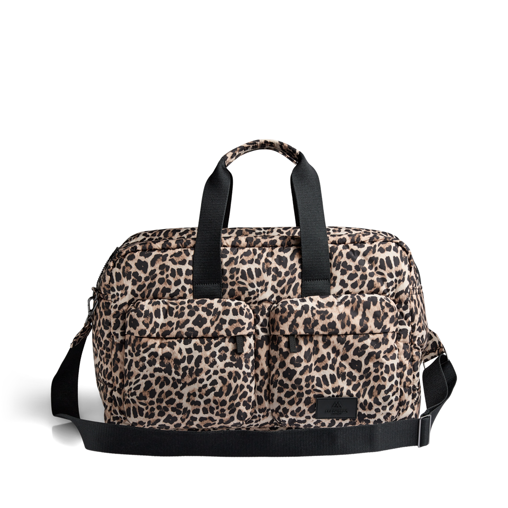 Leopard
